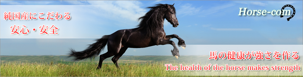 スーパーサラブレッドたちの生産・育成・体調管理・健康維持 世界で活躍する乗馬・馬術馬の馬作りと体調管理・健康維持 その両方を明確にサポートする製品を常に提供し続けます。